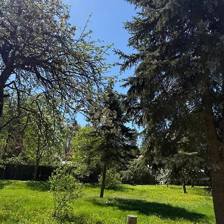 度假居 Dom Na Wczasowej *